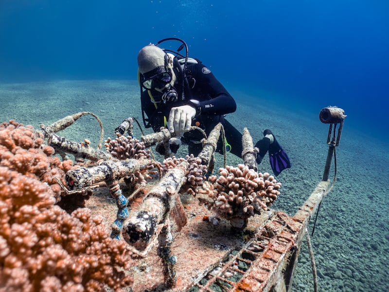 Prof Fine maintains on a coral monitoring station in Eilat, Israel. The station is the first monitoring station installed in the Gulf of Aqaba and the Red Sea.