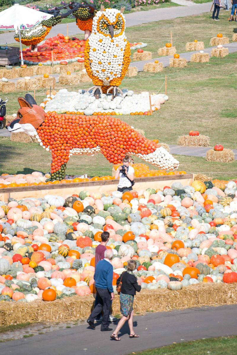 More than 450,000 pumpkins were used to create an artificial world with animal sculptures and forest scenery.  AFP