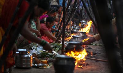 Women cook pongal, a traditional rice dish, during Pongal festival celebrations in Mumbai. EPA