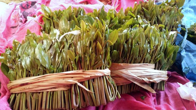 June 8th, 2016 -- Yemen -- 
The Qat market in al-Mansoura, while it was free from sellers.
Photo Credit: Mohmmed Alqalisi for The National  
khat *** Local Caption ***  Image-1.jpeg