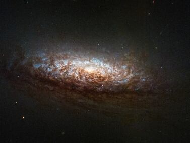 The Hubble Space Telescope has recorded images the galaxy NGC 1546, located in the constellation Dorado. Photo: Hubble / Nasa