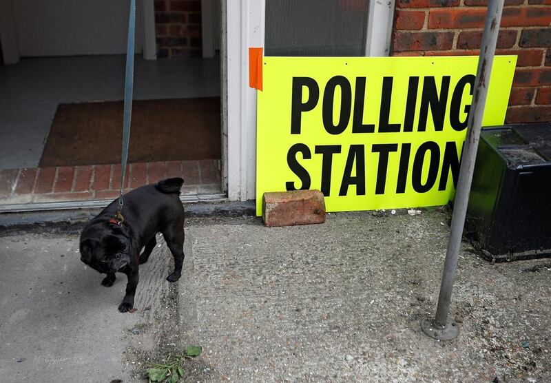 A dog is seen close to the polling station in Hastings, southern England. 