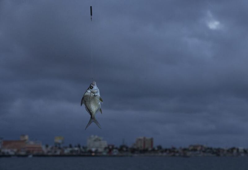 A fish dangles from a line as men fish along the waterfront in Veracruz, Mexico. Rebecca Blackwell / AP