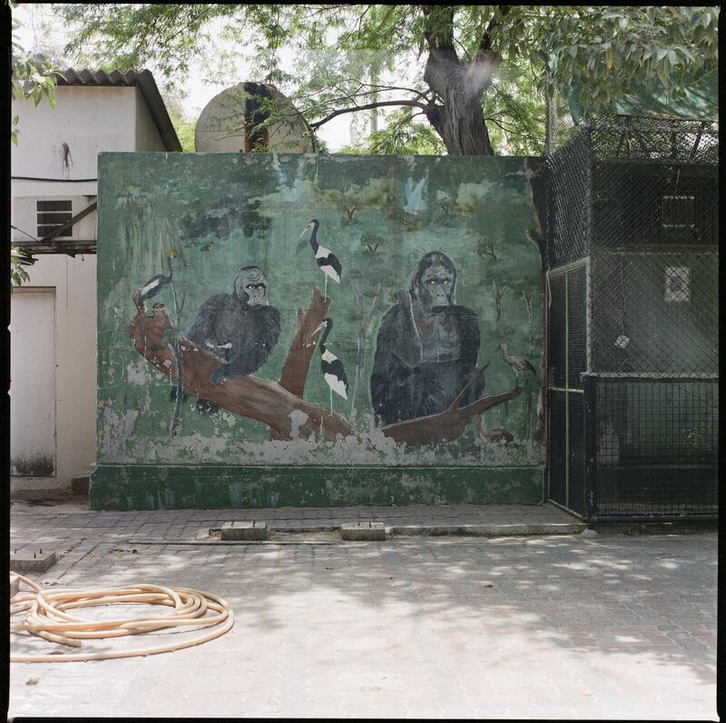 Lamya Gargash photographed the old Dubai Zoo when it shut its doors after 50 years in operation. Courtesy Warehouse421