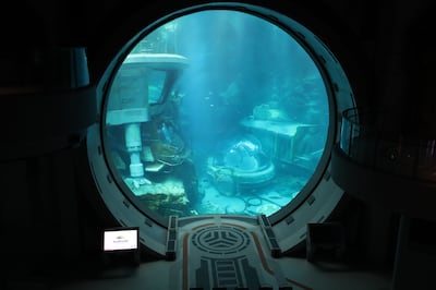 The Endless Ocean has a giant circular observation zone that is 20 metres deep and looks into the aquarium. Chris Whiteoak / The National
