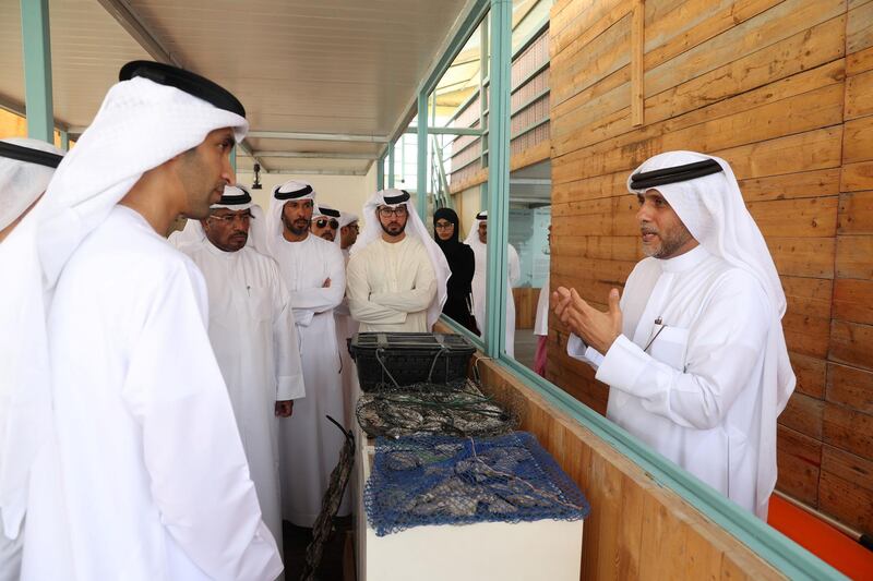Ras Al Khaimah, United Arab Emirates - October 13, 2018: Abdullah Al Suwaidi (R) gives a guided tour of the Al Suwaidi Pearl Farm to His Excellency Dr Thani bin Ahmed Al Zeyoudi, Minister of Climate Change and Environment Directors of municipalities and environment agencies in the UAE. The launch of the ecotourism microsite and app coincides with the National Ecotourism Project, a multiphased initiative that will position the UAE as a global ecotourism hub. Saturday, October 13th, 2018 in Al Rams, Ras Al Khaimah. Chris Whiteoak / The National