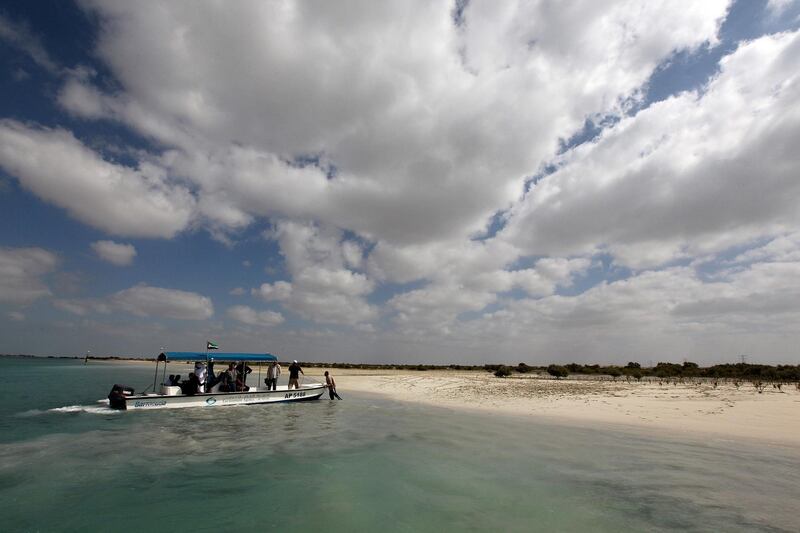 ABU DHABI, UNITED ARAB EMIRATES Ð Feb 7,2011: Thabit Al Abdessalaam, Director of Biodiversity Management Sector at EAD (in front of the boat white cap) showing the mangroves planted by Environment Agency Abu Dhabi at Jubail Island in Abu Dhabi. (Pawan Singh / The National) For News. Story by Vesela Todorova