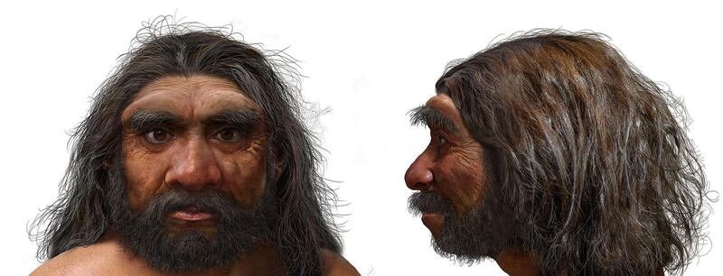 A handout photo obtained on June 25, 2021 from EurekAlert! shows an illustration of a portrait of Dragon Man. Scientists announced Friday that a skull discovered in Northeast China represents a newly discovered human species they have named Homo longi or "Dragon Man," and the lineage may replace Neanderthals as our closest relatives. - RESTRICTED TO EDITORIAL USE - MANDATORY CREDIT "AFP PHOTO /BYLINE " - NO MARKETING - NO ADVERTISING CAMPAIGNS - DISTRIBUTED AS A SERVICE TO CLIENTS
 / AFP / EUREKALERT! / CHUANG Zhao / RESTRICTED TO EDITORIAL USE - MANDATORY CREDIT "AFP PHOTO /BYLINE " - NO MARKETING - NO ADVERTISING CAMPAIGNS - DISTRIBUTED AS A SERVICE TO CLIENTS
