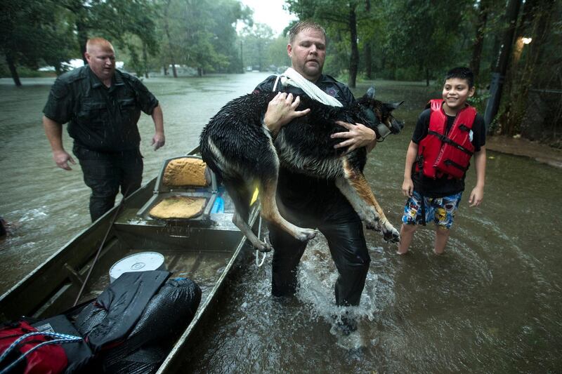 Splendora Police officer Mike Jones carries Ramiro Lopez Jr.&#39;s dog, Panthea, from a boat after the officers rescued the family from their flooded neighborhood as rains from Tropical Depression Imelda inundated the area, Thursday, Sept. 19, 2019, in Splendora, Texas. AP
