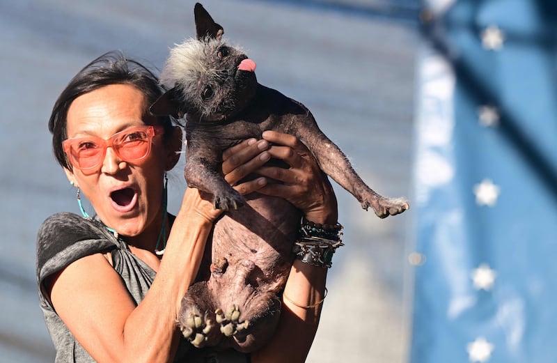 Jeneda Benally reacts to the announcement that her dog, Mr  Happy Face, won the World's Ugliest Dog Contest in Petaluma, California. AFP
