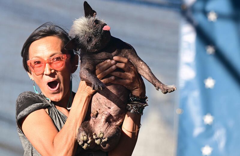 Jeneda Benally reacts to the announcement that her dog, Mr  Happy Face, won the World's Ugliest Dog Contest in Petaluma, California. AFP