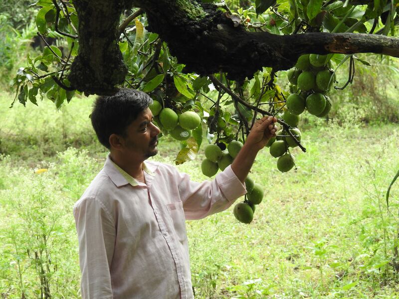 The biggest challenge, says Khan, is 'the need to conserve and rejuvenate dying variants. Once the diversity is lost, it will be impossible to see it again'. Photo: Bindu Gopal Rao