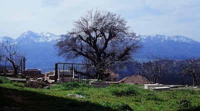 'Mariner of the Mountains' premiered at this year’s Cannes Film Festival. Cannes Film Festival