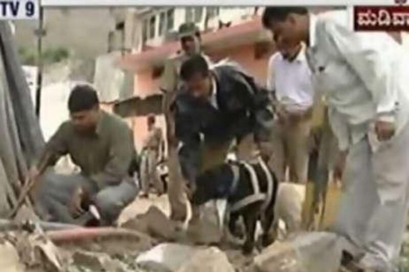 In this frame taken from television, Indian security officials use a sniffer dog to search debris at the site of an explosion in Bangalore on July 25.