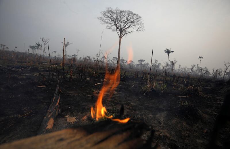 A tract of Amazon jungle burns in Boca do Acre, Amazonas state, Brazil August 24, 2019. REUTERS/Bruno Kelly