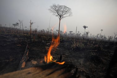 A tract of Amazon jungle burns in Boca do Acre, Amazonas state, Brazil. Reuters