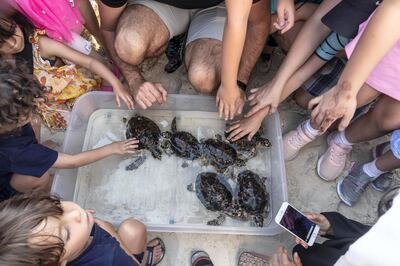 ABU DHABI, UNITED ARAB EMIRATES. 24 APRIL 2019. Turtle release at the Jumeirah at Saadiyat Island Resort. (Photo: Antonie Robertson/The National) Journalist: None. Section: National.