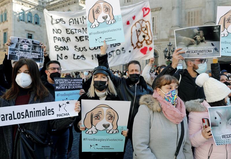 Protesters rally against Vivotecnia, a laboratory alleged to have used more than 30 beagle puppies for drug research, in Sant Jaume square in Barcelona, Spain, in January. EPA