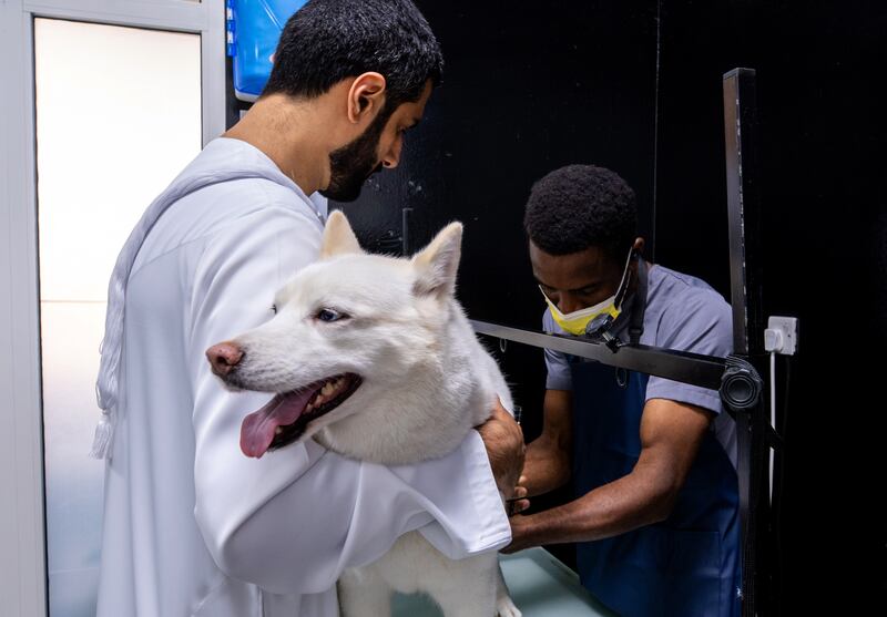 Luna at the grooming area. 