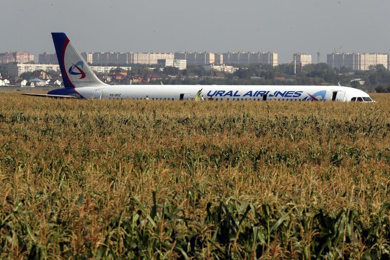 Ural Airlines A-321 passenger plane is seen on the site of its emergency landing in a field outside Zhukovsky airport in Ramensky district of Moscow region, Russia. A-321 with 226 passengers and seven crew members on board en-route from Moscow to Simferopol made emergency landing after a right engine failure following the plane's colliding with seagulls shortly after take-off. Ten people were hospitalized following the accident.  EPA