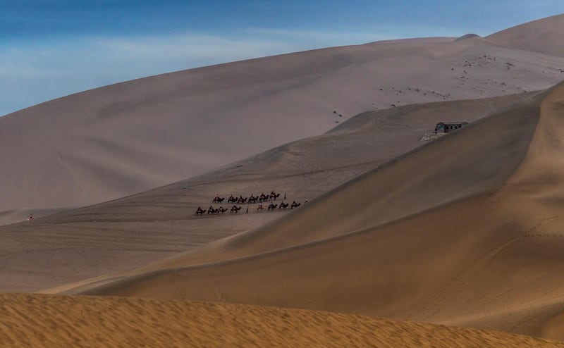 People rides camels on the dunes.