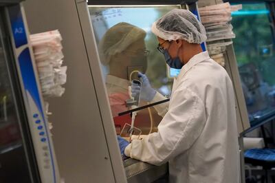 A scientist works in a cellular agriculture lab. AP