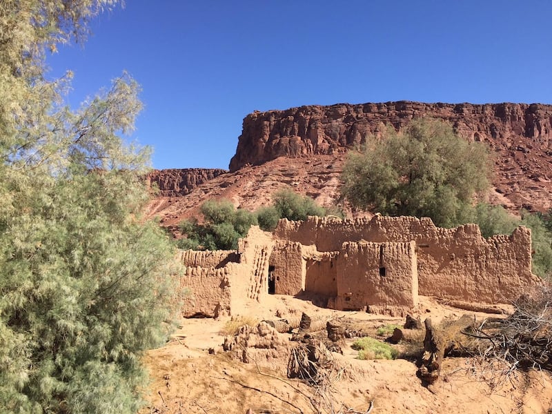 “Al Ula is a place of spectacular natural beauty, with varied habitats that once thrived with life, coexisting with our early ancestors, as seen through rock inscriptions in the valleys,” says Amr Al Madani. Courtesy Royal Commission for Al Ula