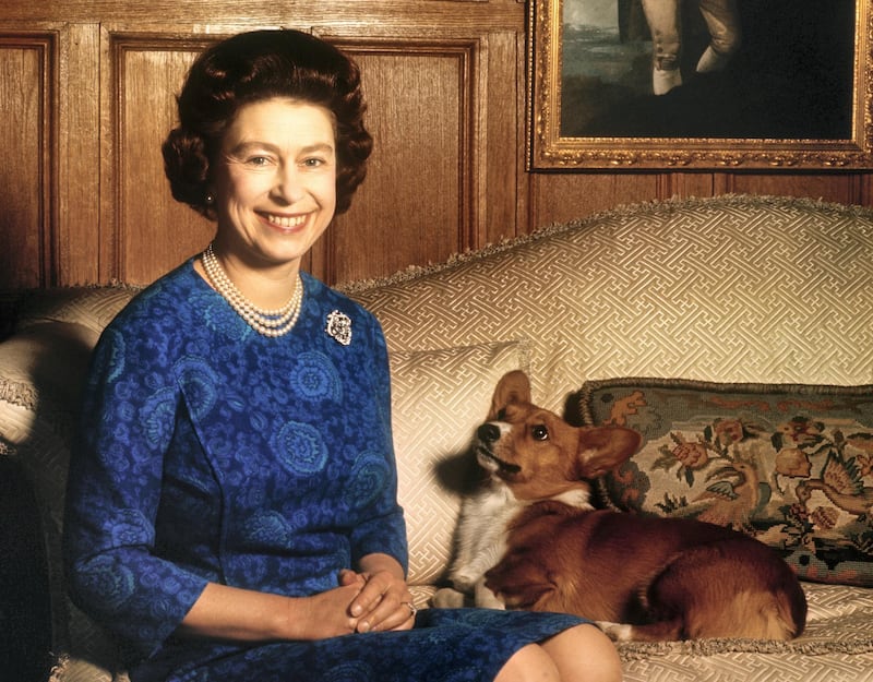 (Original Caption) Sandringham, Norfolk, England, UK: Britain's Queen Elizabeth II smiles radiantly during a picture-taking session in the salon at Sandringham House. Her pet dog looks up at her. These photos were taken in connection with the royal Family's planned tour of Australia and New Zealand.