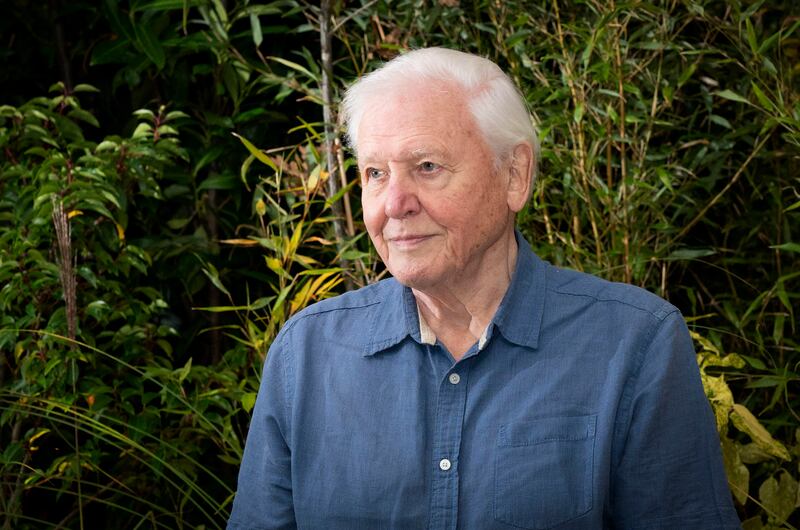 A 560-million-year-old fossil has been named after British naturalist Sir David Attenborough. PA