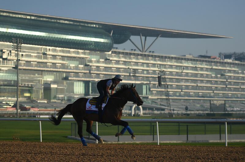 DUBAI, UNITED ARAB EMIRATES - MARCH 29: Mubtaahij during track work day prior to Dubai World Cup 2018 at the Meydan Racecourse on March 29, 2018 in Dubai, United Arab Emirates.  (Photo by Tom Dulat/Getty Images)