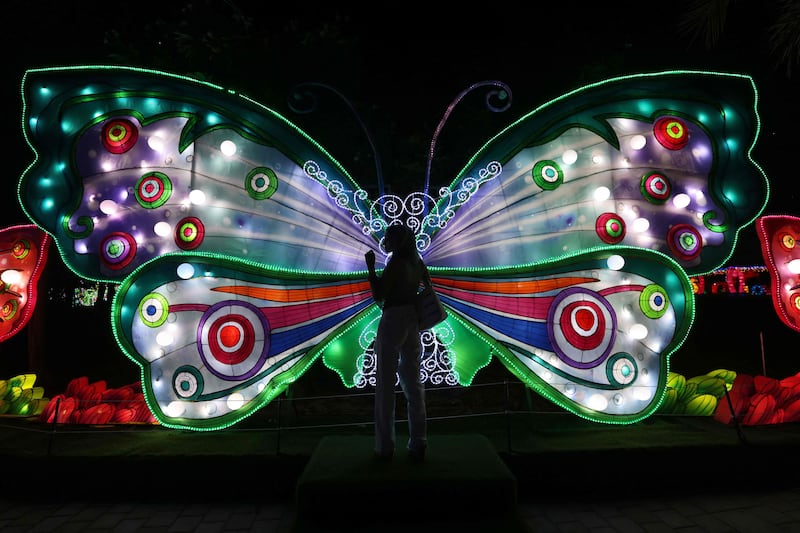 Dubai Garden Glow has already reopened for the autumn and winter seasons. AFP