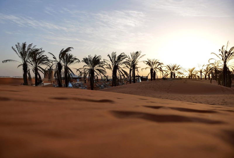 A lounge area beneath palm trees amid rolling dunes at the "Riyadh Oasis." AFP