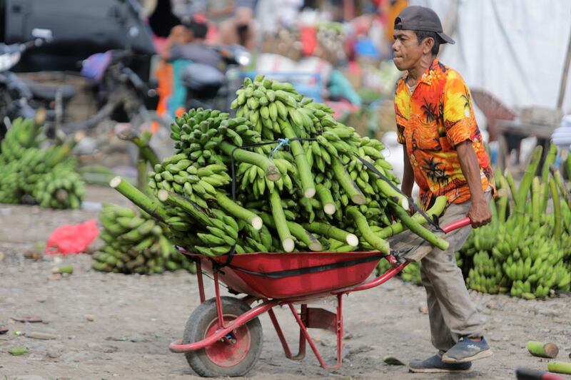 epa08756729 A man moves bananas amid the coronavirus pandemic at Lambaro market in Aceh, Indonesia, 19 October 2020. The World Bank has lowered Indonesia 2020 economic growth projection from 0 percent to -1.6 percent to -2 percent.  EPA/HOTLI SIMANJUNTAK