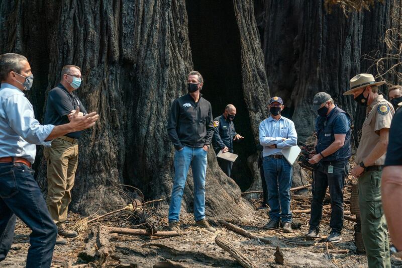 California Governor Gavin Newsom, centre, listens as Secretary of California Natural Resources Agency Wade Crowfoot, left, talks about the fire damage to Big Basin Redwoods State Park, in Boulder Creek, California.  AP