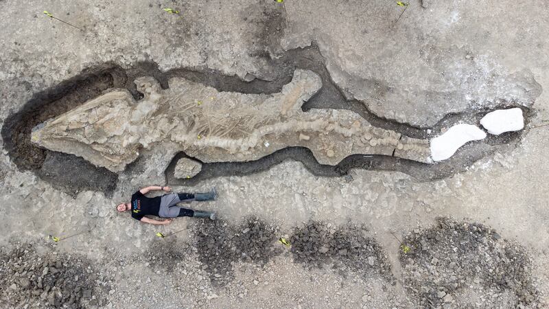 A palaeontologist lies next to the ichthyosaur skeleton found at Rutland Nature Reserve in the UK. All photos: PA