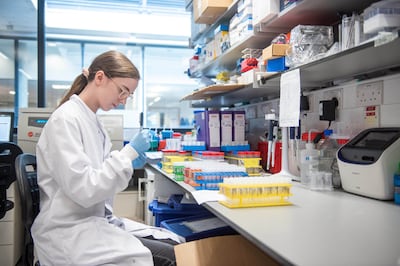 An undated handout picture released by the University of Oxford on November 23, 2020 shows a technician working on the University's COVID-19 candidate vaccine, known as AZD1222, co-invented by the University of Oxford and Vaccitech in partnership with pharmaceutical giant AstraZeneca. - Scientists behind a coronavirus jab being developed in Britain on Monday hailed it as a potential "vaccine for the world", which could be cheaper to make and easier to store and distribute than its main rivals. The University of Oxford and its pharmaceutical partner AstraZeneca, said they were seeking regulatory approval for the vaccine after it showed an average 70-percent effectiveness. (Photo by John Cairns / University of Oxford / AFP) / RESTRICTED TO EDITORIAL USE - MANDATORY CREDIT "AFP PHOTO / UNIVERSITY OF OXFORD / John Cairns " - NO MARKETING - NO ADVERTISING CAMPAIGNS - RESTRICTED TO ILLUSTRATING STORIES RELATED TO THE PARTICULAR VACCINE, EVENTS AND FACTS MENTIONED IN THE CAPTION - DISTRIBUTED AS A SERVICE TO CLIENTS /