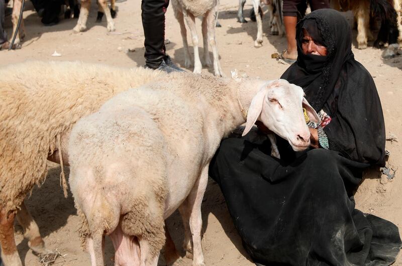 A female vendor waits for customers at a livestock market in Deir el-Balah, central Gaza Strip. AP Photo