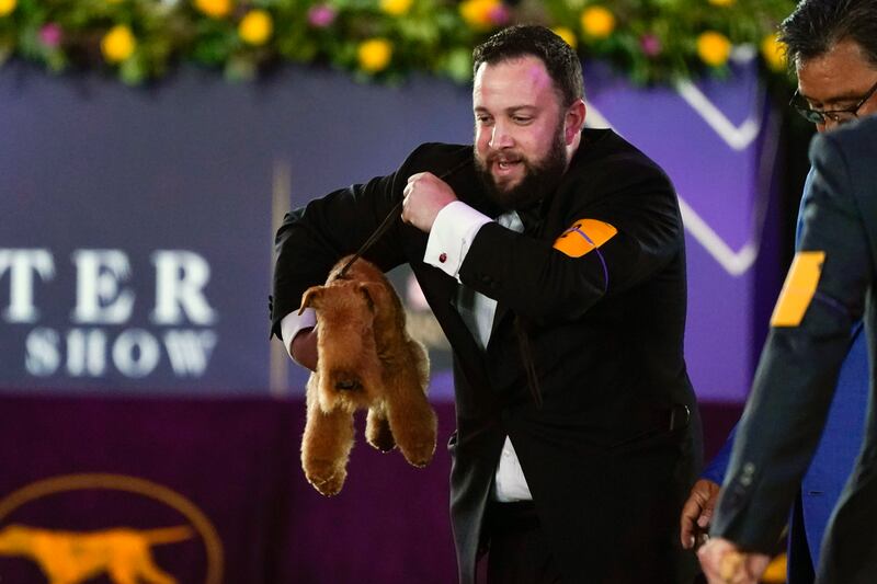 A handler celebrates with MM, a Lakeland terrier, after winning the terrier group at the 146th Westminster Kennel Club Dog Show. AP