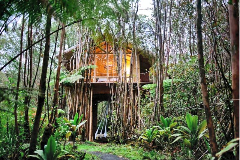 10. This secluded treehouse in Hawaii's Fern Forest is located on the outskirts of the Big Island's Volcanoes National Park and can be reached via the red volcanic road.