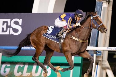 Antonio Fresu wins on Vasari at Meydan’s third meeting on Friday, November 25, 2022. – Adiyat Racing Plus