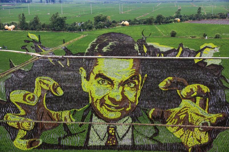 An image of Rowan Atkinson's character Mr Bean is created using different varieties of rice in a paddy field in Shenyang, in China's north-east Liaoning province. AFP