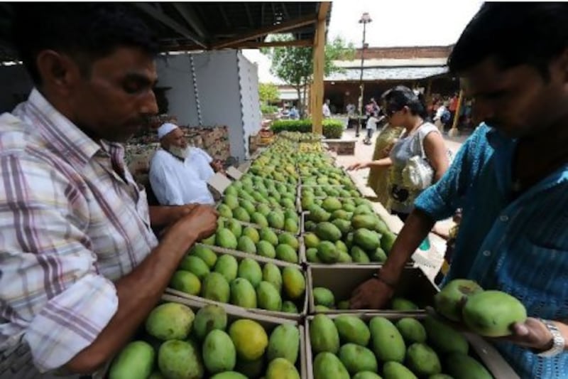 The Mango Festival in New Delhi is showcasing about 500 varieties of mangoes, as well as processed foods containing mangoes, such as chutney, mango juice, jelly, aam papad and jam. Prakash Singh / AFP Photo