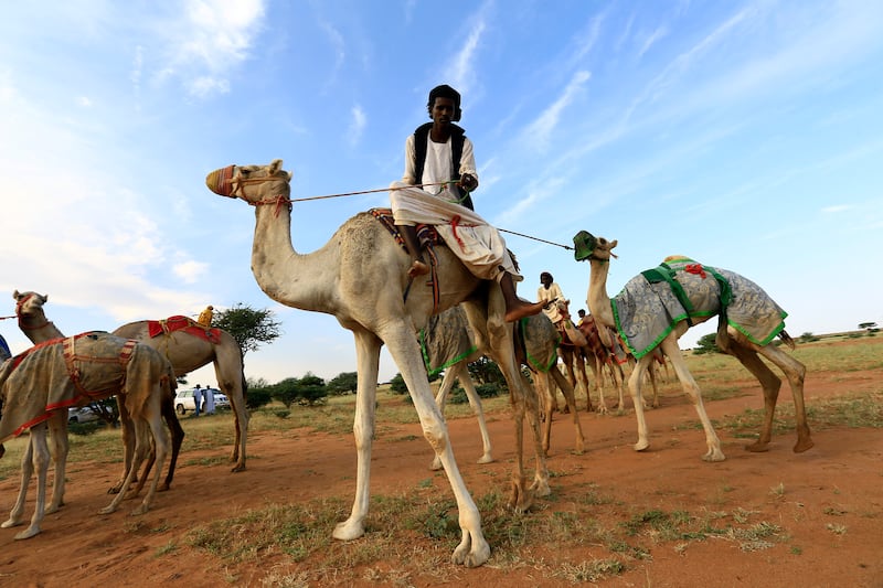 Camel racing often takes place at Khartoum Racecourse.