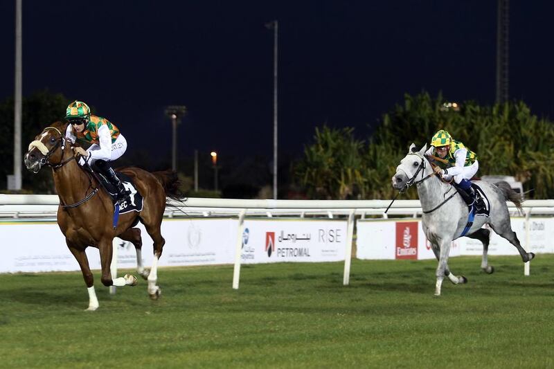 Harry Bentley riding Shateh, left, won first place followed by Wayne Smith riding Sha'Red in the Al Ruwais race on Sunday, February 7, 2015, at the Abu Dhabi Equestrian Club. It was the ninth race meeting in Abu Dhabi. ( DELORES JOHNSON / The National )