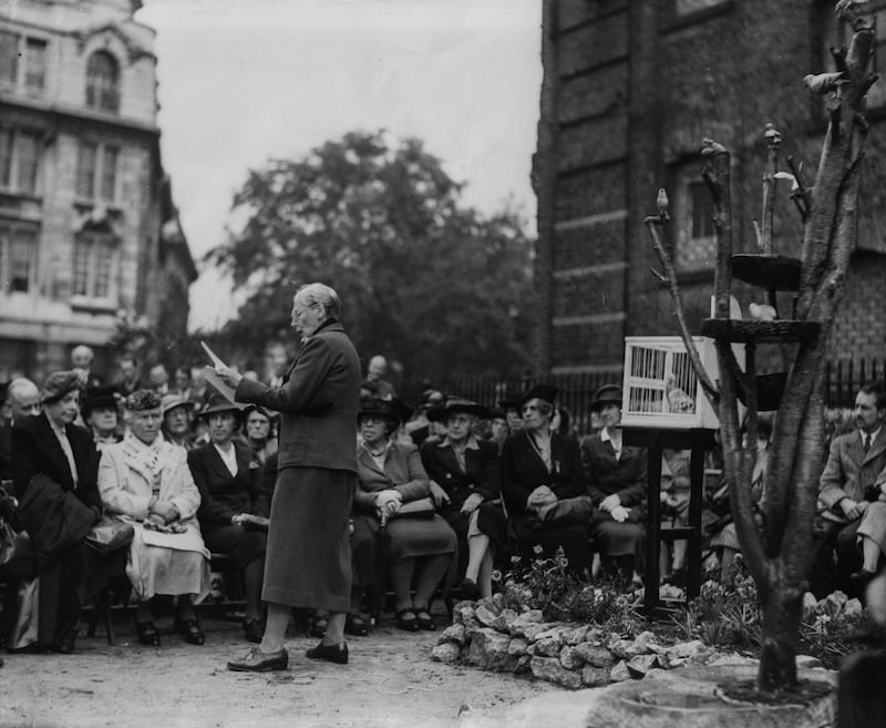 Actress Nancy Price giving a speech to the assembled crowd, with a pigeon (right, in cage) who received the Dickin Medal, at the dedication of a memorial to the birds who died in active service during the war, in the gardens of All Hallow's Church, London, October 4th 1946. (Photo by Reg Burkett/Keystone/Getty Images)