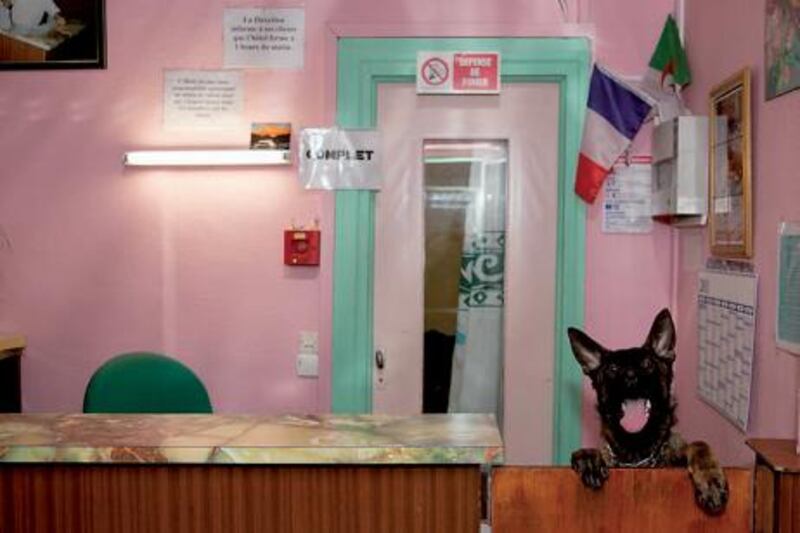 What at first appears to be an exercise in green and shocking pink reveals a more nuanced aspect, with the French and Algerian flags sitting side by side in the corner of this hotel reception area in the Goutte d'Or.