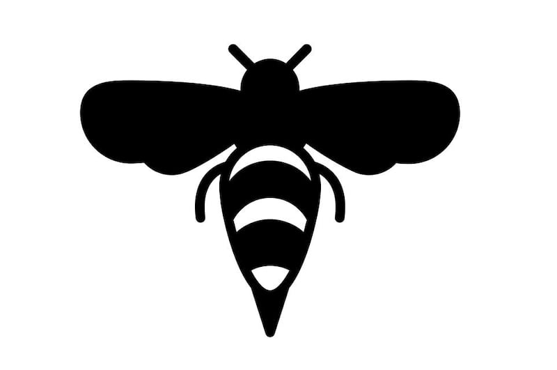 Bees are venerated for their diligence and sacrifices, and just how respected they are is highlighted in a hadith by the Prophet Mohammed. Juraj Sedlak / The Noun Project