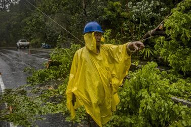 Residents clear a fallen tree from a road as Typhoon Vongfong hits the Philippines. Getty Images