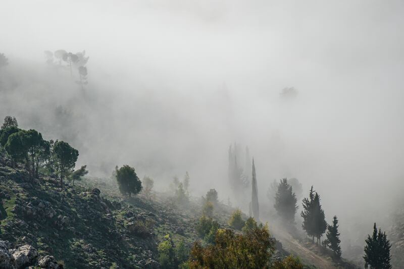 The fog-covered Jabal Al Zawiya mountainside in Idlib is a hotspot for hikers   