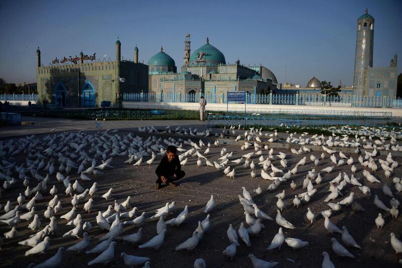 An Afghan boy feeds pigeons at the Hazrat-i-Ali shrine in Mazar-i Sharif. Afghans started celebrating Eid al-Adha or "Feast of the Sacrifice", which marks the end of the annual hajj or pilgrimage to Mecca and is celebrated in remembrance of Abraham's readiness to sacrifice his son to God. Farshad Usyan / AFP